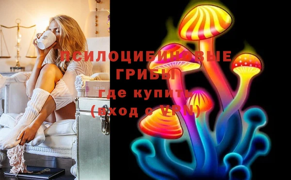 МДПВ Аркадак