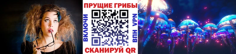 наркота  Чусовой  Галлюциногенные грибы прущие грибы 